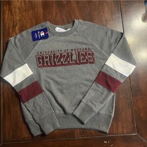 Champion Gray and Maroon Grizzlies Crewneck